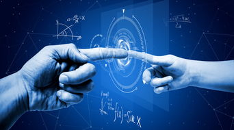 徳缘汇运营咨询服务篇 法务信息咨询，企业稳健发展的法律护航