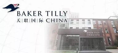 四大与内资八大 法务信息咨询领域的职业发展路径解析